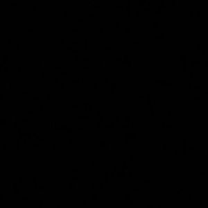 Meet your Posher, Dianab